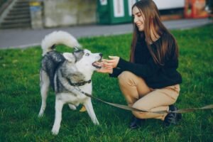 Himalayan Dog Chews and Why Dogs Enjoy This Long Lasting Treat